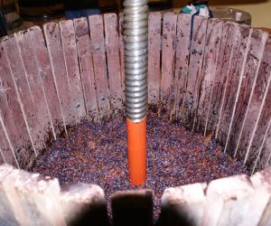 Fête du vin bourru à Nuits-Saint-Georges 2022