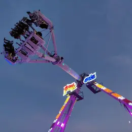 Fête foraine de la Saint-Martin