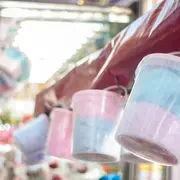 Où aller dans les Yvelines ce week-end du 1 au 3 mai 2026 ? 10 idées sorties