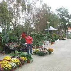 Fête horticole