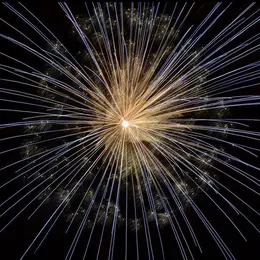 Fête locale et feu d'artifice à St Laurent d'Arce