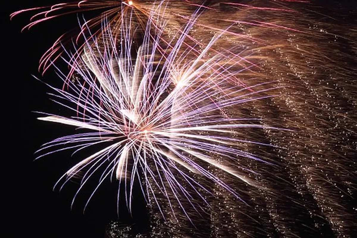 Fête nationale à Bonny-sur-Loire : défilé, retraite aux flambeaux, bal et feu d'artifice