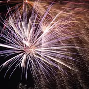 Fête nationale à Bonny-sur-Loire : défilé, retraite aux flambeaux, bal et feu d'artifice