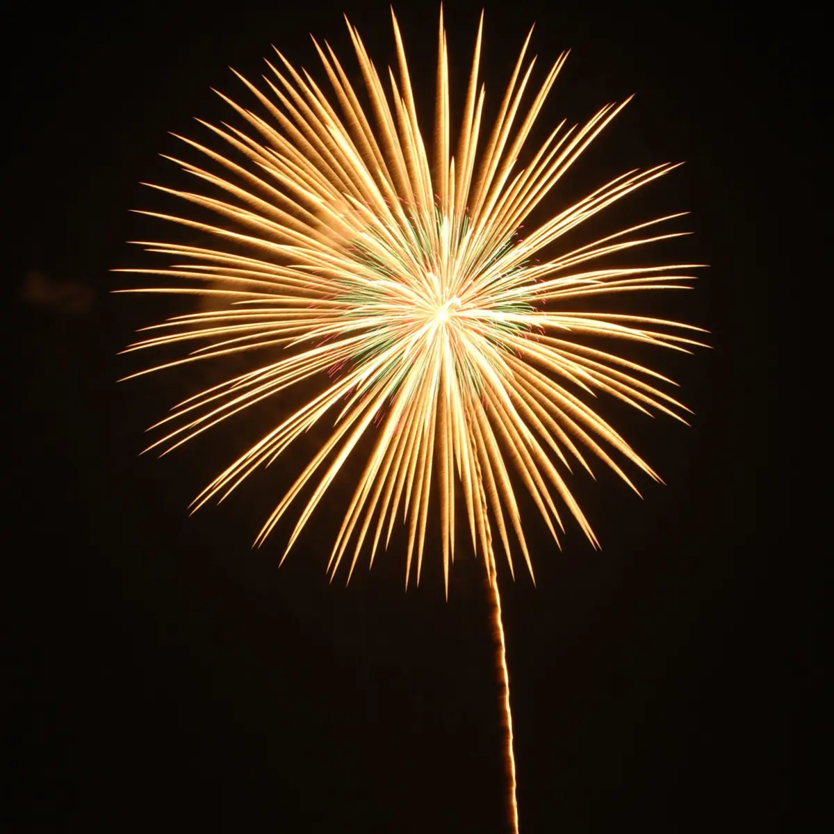 Fête Nationale 2026 à Molsheim