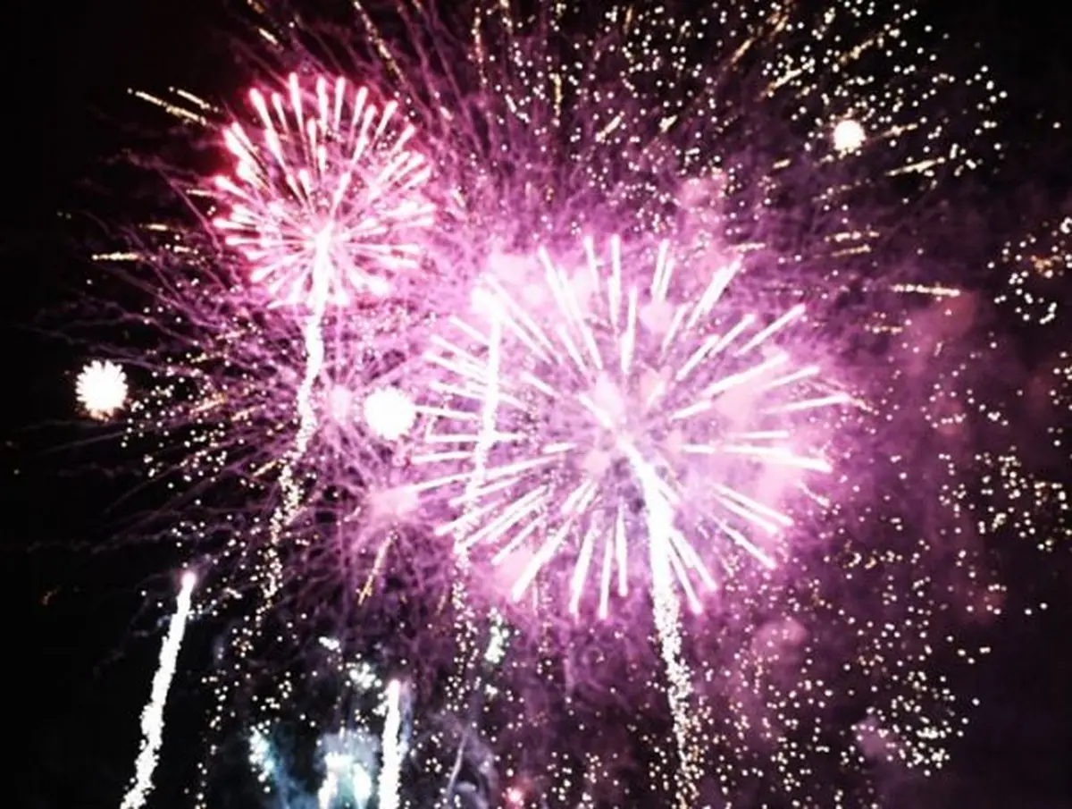Fête nationale à Mulhouse : feu d'artifice et animations au Nouveau Bassin