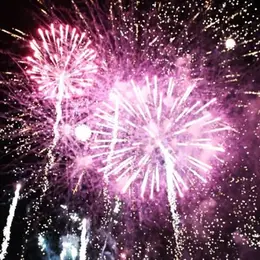 Fête nationale à Mulhouse : feu d'artifice et animations au Nouveau Bassin