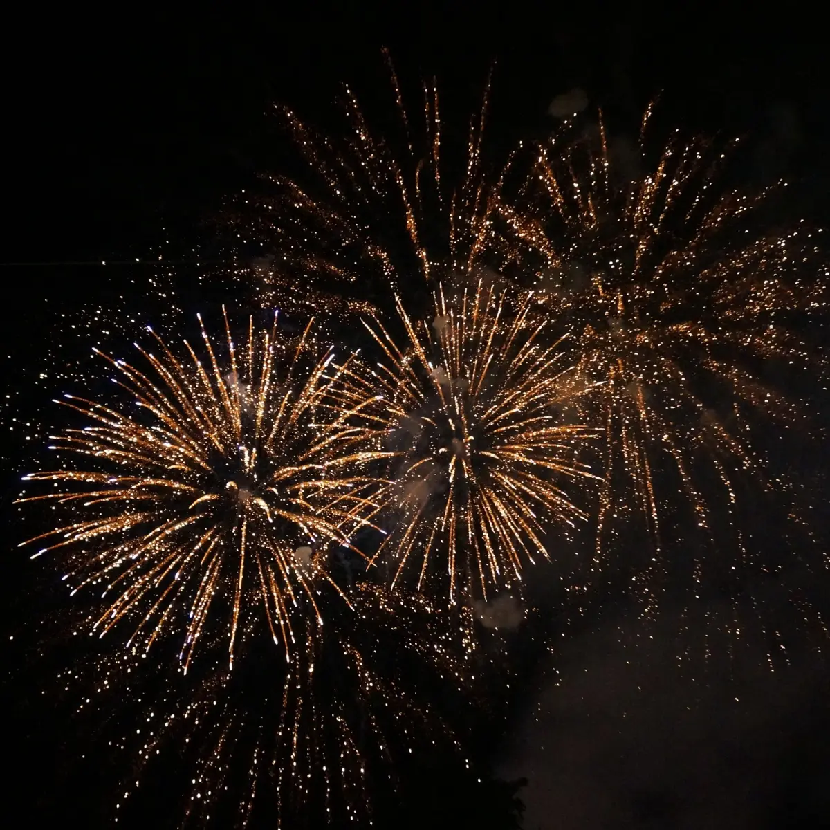 Fête nationale 2026 - Le 14 juillet à Dijon
