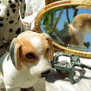 Fête patronale à Saint Saturnin