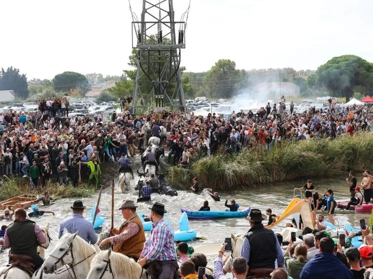 Fête votive d'Aigues-Mortes