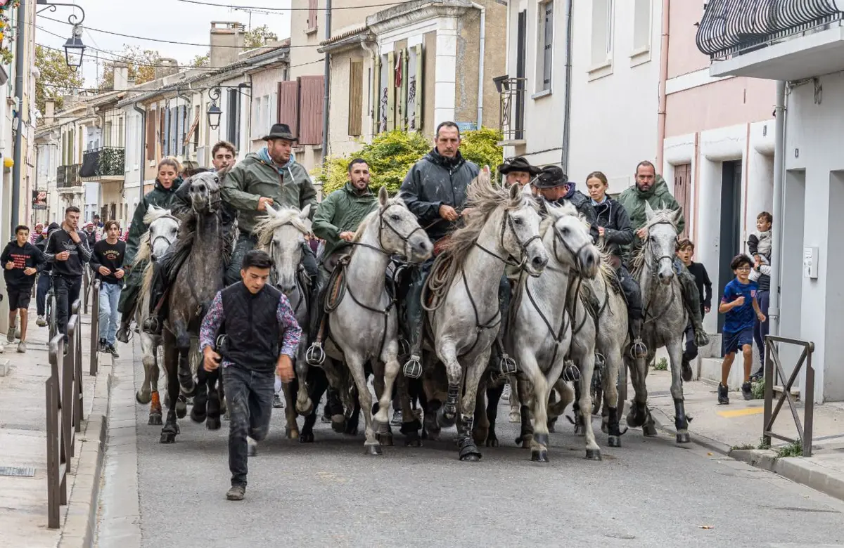 Fête votive d'Aigues-Mortes