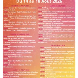 Fête votive des Paluds de Noves