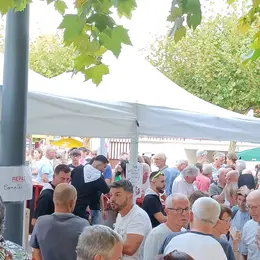 Fêtes d'Eugénie les Bains