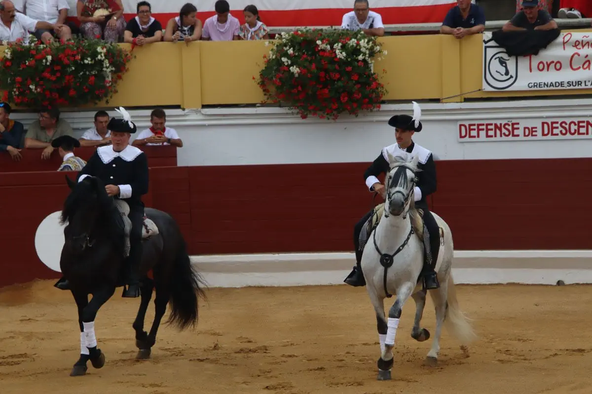 Au programme, animations, concerts, courses, terroirs mais aussi corridas, bodegas et novilladas 