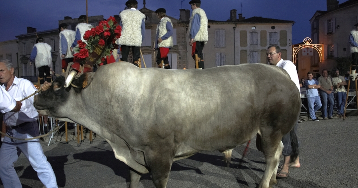 Fêtes de la Saint Jean à Bazas