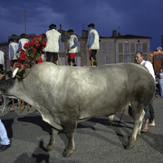 Fêtes de la Saint Jean à Bazas