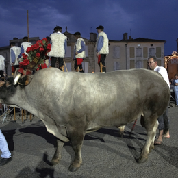 Fêtes de la Saint Jean à Bazas
