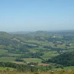 Fêtes de village