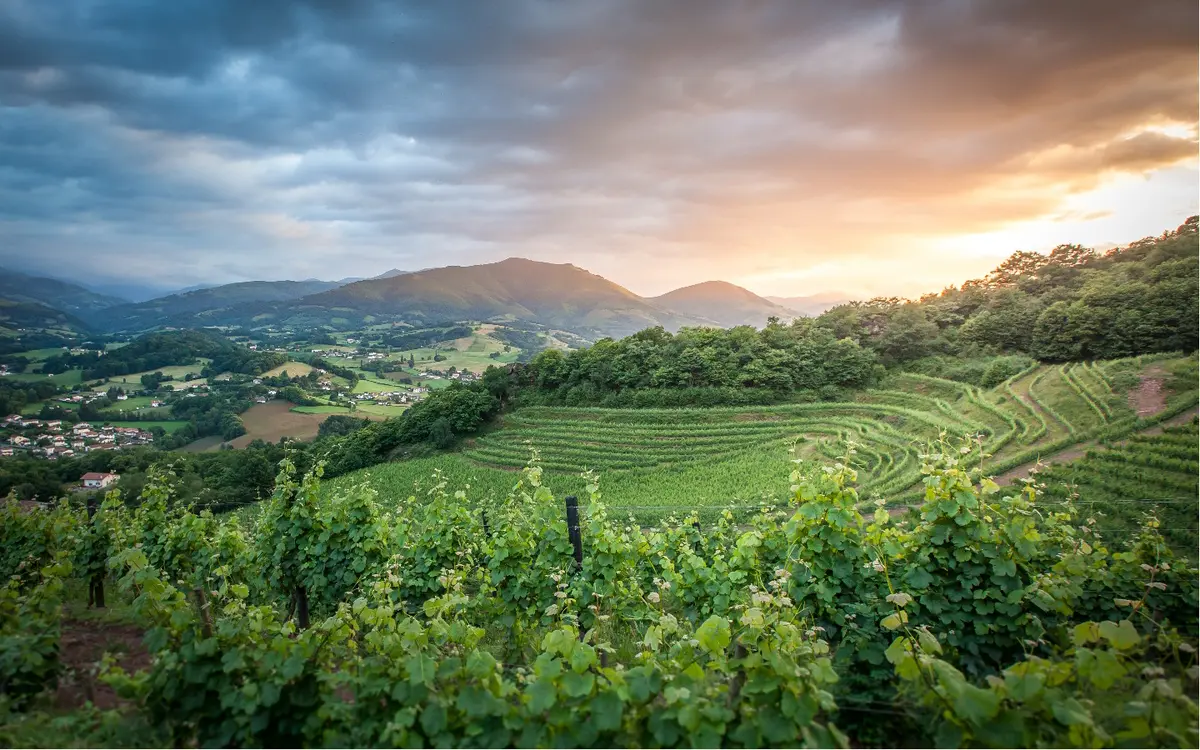 Fêtes de village : hypnotiseur-Los piquillos-talo