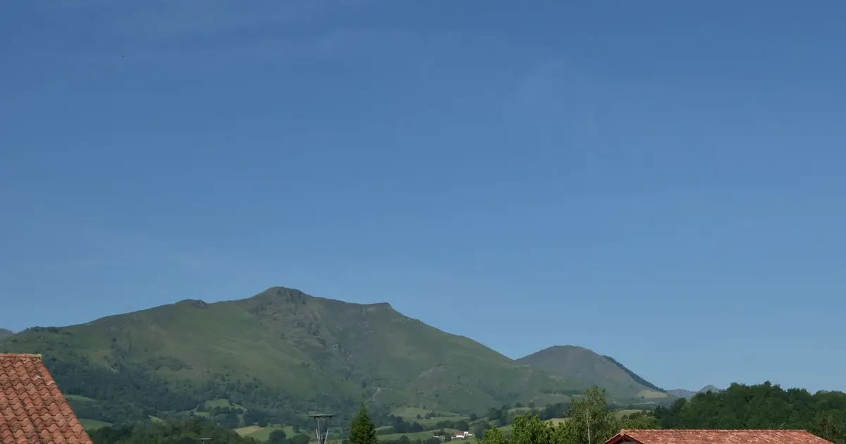 Fêtes de village : repas aux anguilles animé