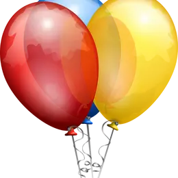 Fêtes locales de Tosse
