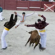 Fêtes patronales