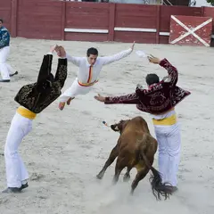 Fêtes patronales