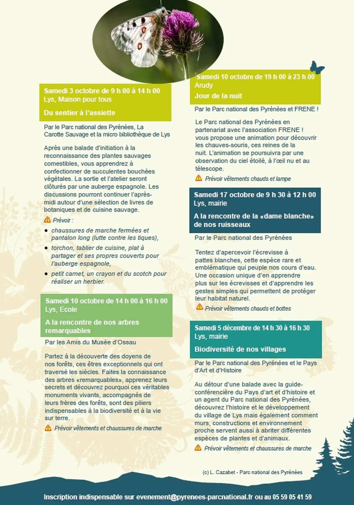 Fêtons la biodiversité : A la rencontre de nos arbres remarquables