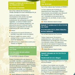 Fêtons la biodiversité : A la rencontre de nos arbres remarquables