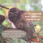 Fêtons la biodiversité : A la rencontre des chouettes de nos villages