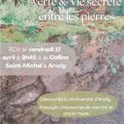 Fêtons la biodiversité : Balade sur la voie verte & La vie secrète entre les pierres