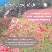 Fêtons la biodiversité : Sous nos pieds, le monde caché du jardin