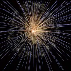 Feu d'artifice à Lherm