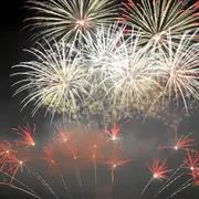 Feu d'artifice de la fête