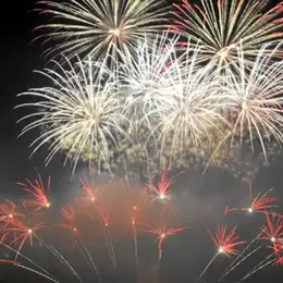 Feu d'artifice de la fête