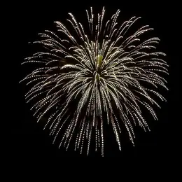Feu d'artifice (Parc de la Guierle)