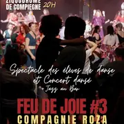 Feu de joie #3