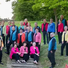 Feu de la St Jean et Chorale Mozaïk
