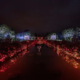 Feux d'artifice