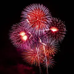 Feux D’artifice Pyro-Musical Suivi D’un Bal.