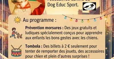 March&eacute; nocturne et son &eacute;ducatrice canine