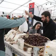 Fiera di a Castagna 2026 - Foire de la Châtaigne de Bocognano