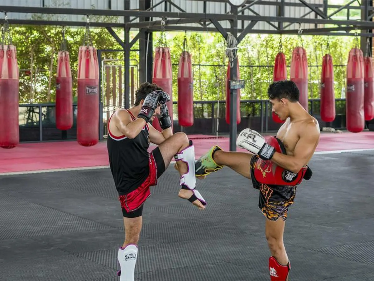 Fight Zone Championship