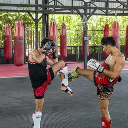 Fight Zone Championship