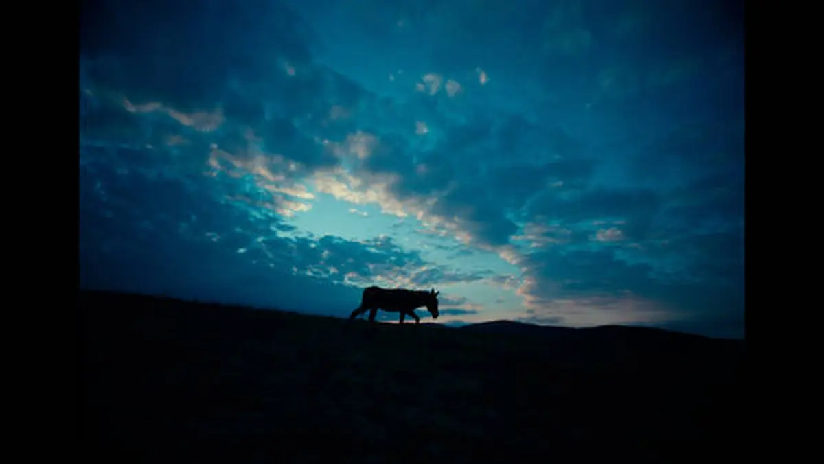 Film Documentaire