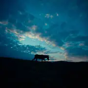 Film Documentaire