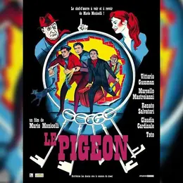 Film du patrimoine : Le pigeon