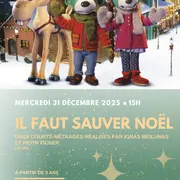 Films d'animation : Il faut sauver Noël