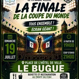 Finale de la coupe du monde sur écran géant