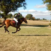 Finale nationale jeunes chevaux d’endurance