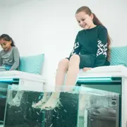 Fish Spa à Angers (49)